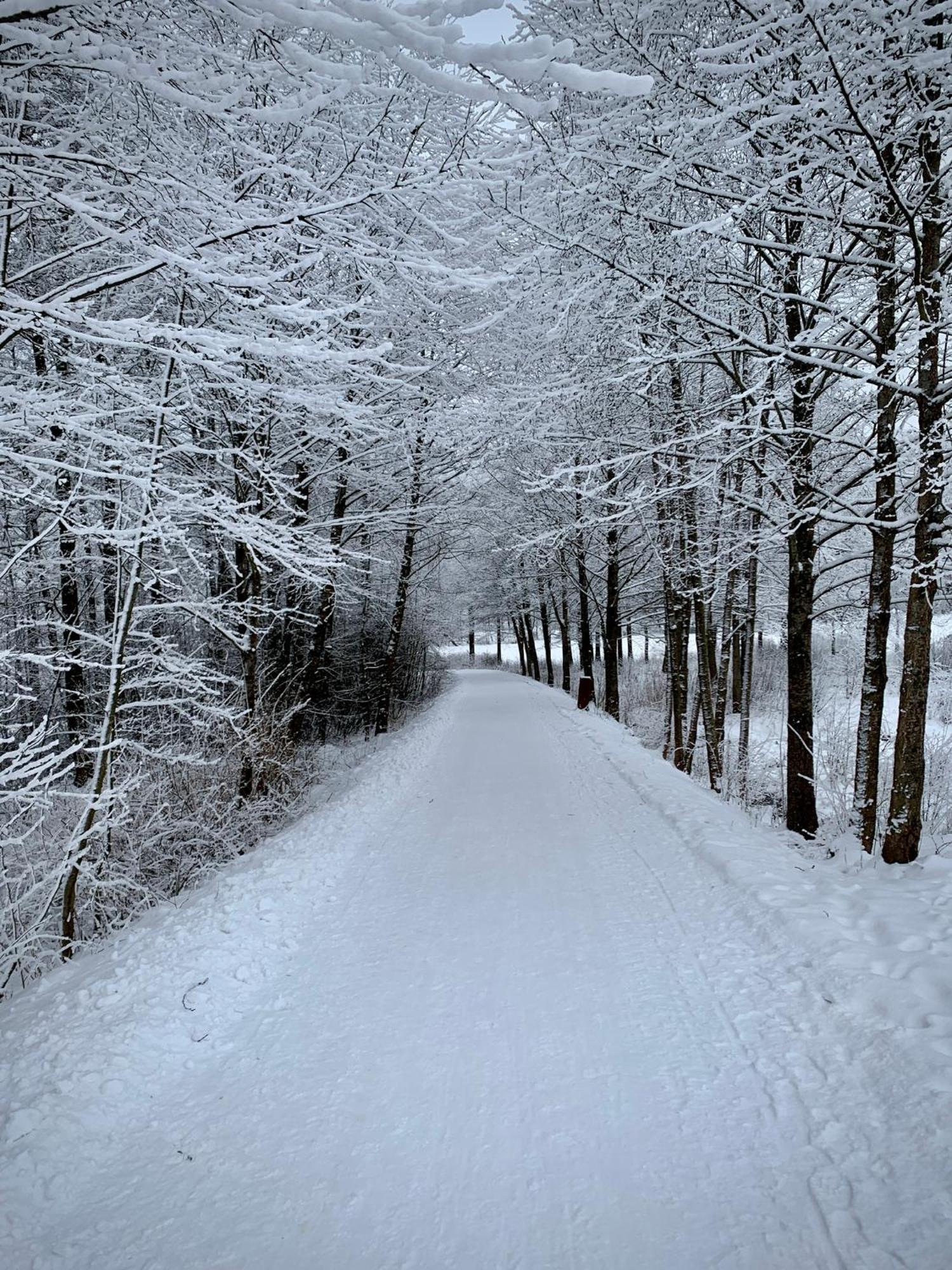 Nase Chata Lipno Lipno nad Vltavou Exterior foto